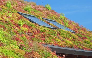 Warrenpoint living roof systems